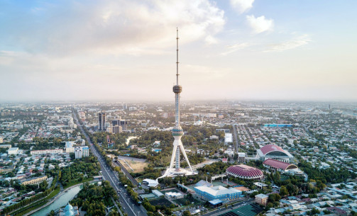 Tashkent Market Snapshots Q1 2025