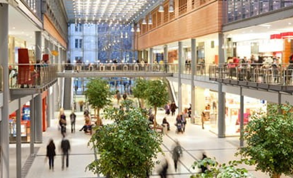 WHAT DOES THE FUTURE HOLD FOR THE SHOPPING MALL?